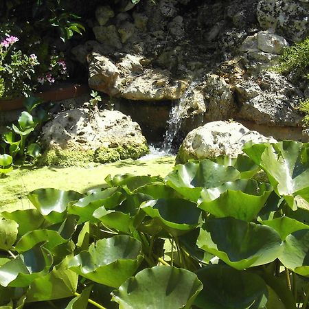La Cascata Bed and Breakfast Νότσι Εξωτερικό φωτογραφία