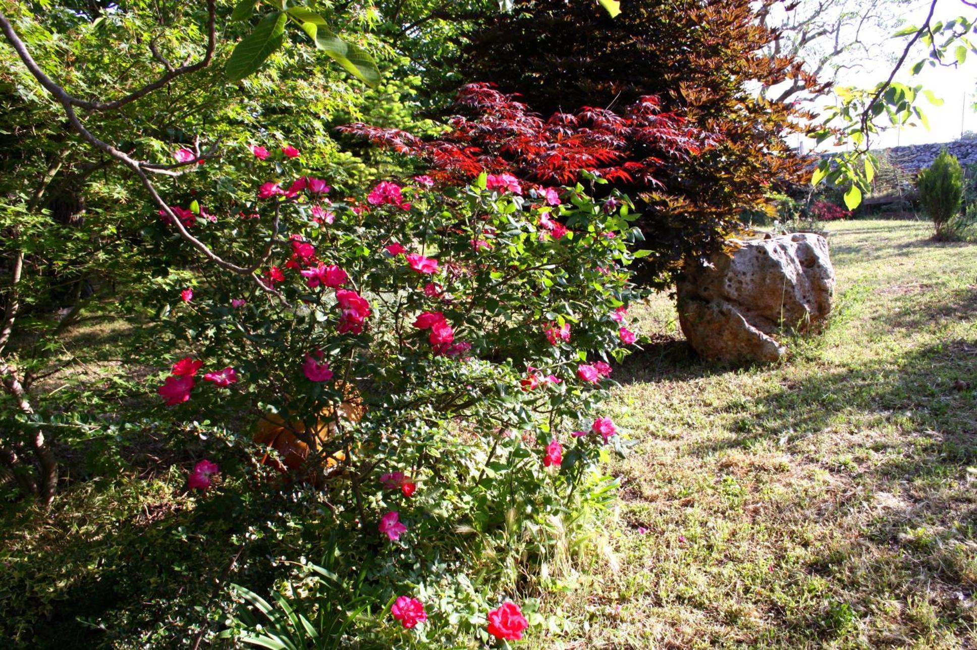 La Cascata Bed and Breakfast Νότσι Εξωτερικό φωτογραφία