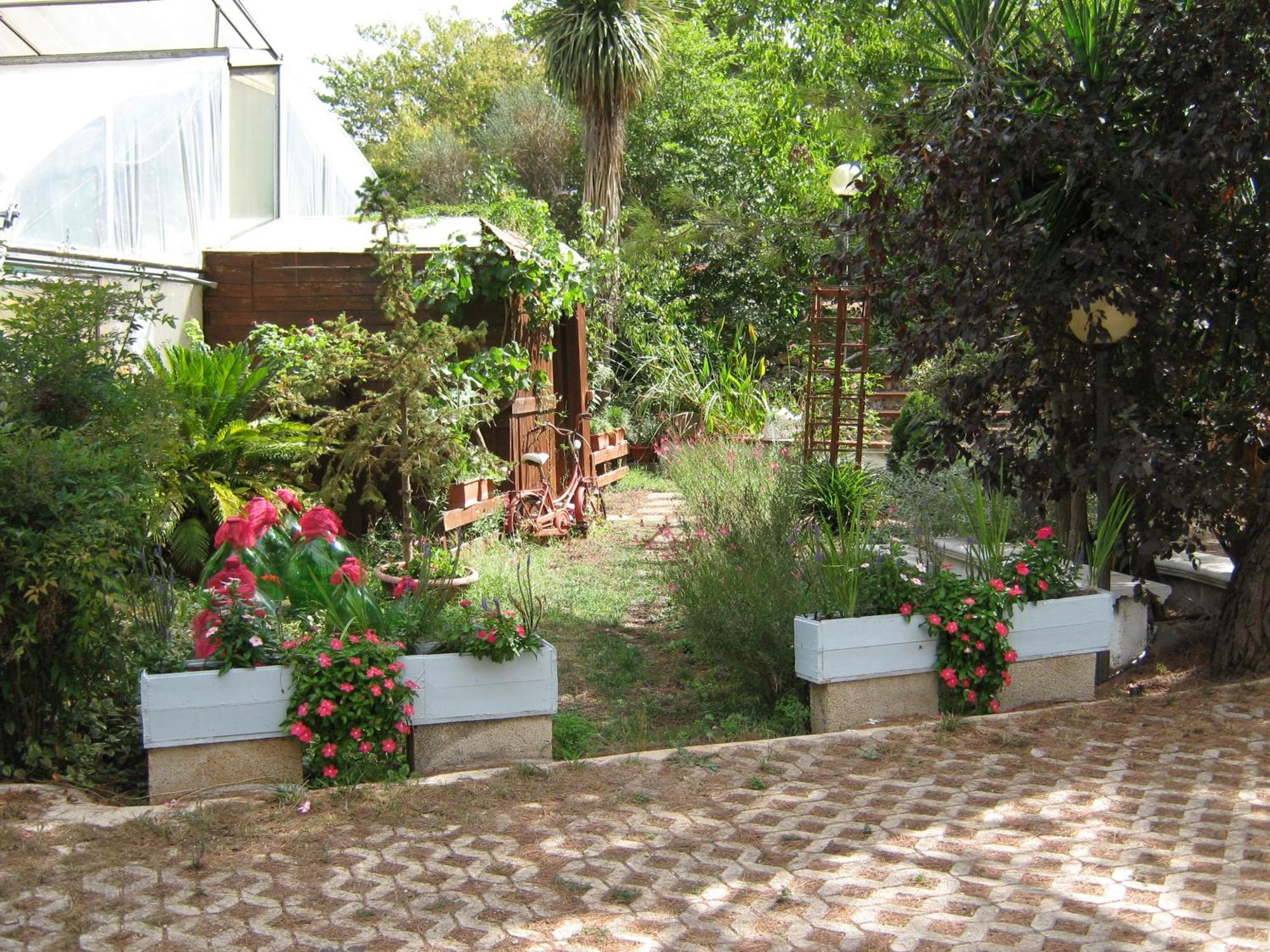La Cascata Bed and Breakfast Νότσι Εξωτερικό φωτογραφία