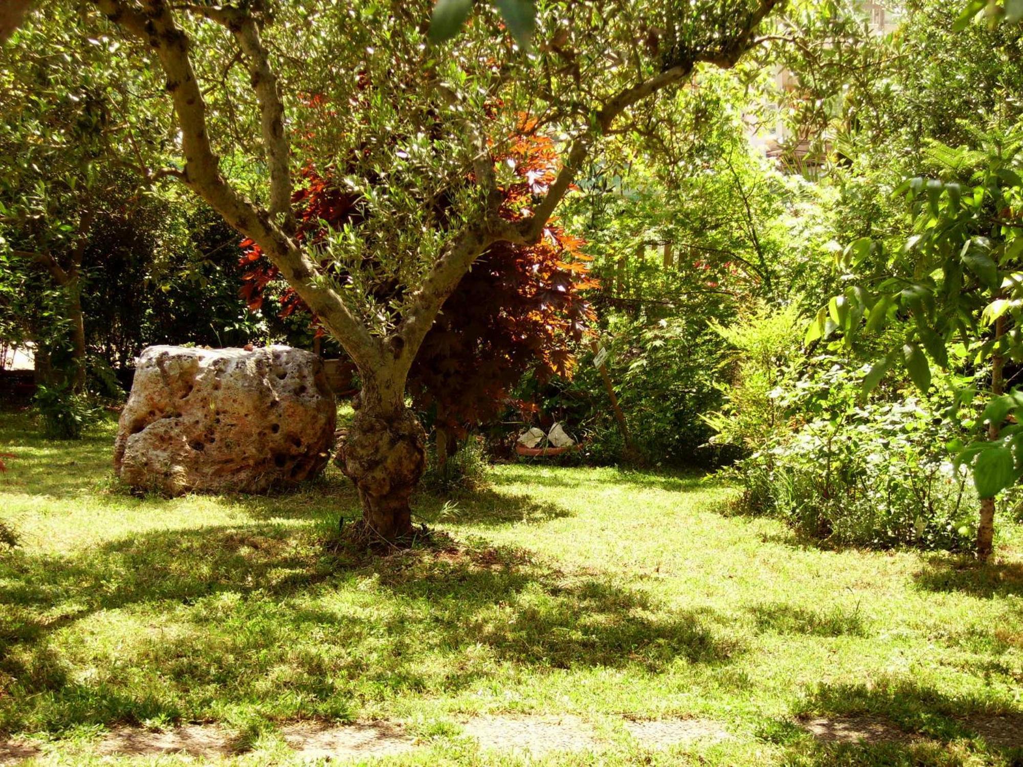La Cascata Bed and Breakfast Νότσι Εξωτερικό φωτογραφία